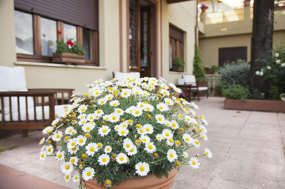 Hotel Giardino Lido di Camaiore Exterior photo